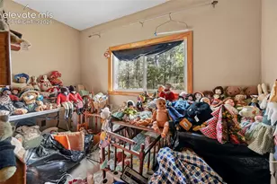 2659 Edlowe Rd, Woodland Park, CO 80863 - Photo 3