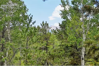 2659 Edlowe Road, Woodland Park, CO 80863 - Photo 29