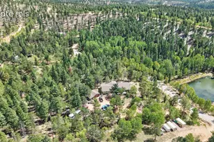 2659 Edlowe Rd, Woodland Park, CO 80863 - Photo 27