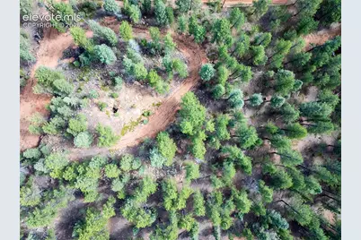 422 Spring Valley Drive, Divide, CO 80814 - Photo 19
