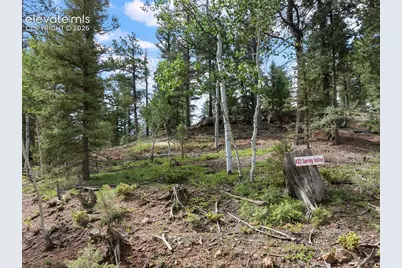 422 Spring Valley Drive, Divide, CO 80814 - Photo 7