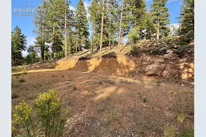 422 Spring Valley Drive, Divide, CO 80814 - Photo 3