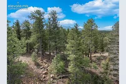 422 Spring Valley Drive, Divide, CO 80814 - Photo 23