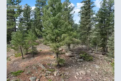 422 Spring Valley Drive, Divide, CO 80814 - Photo 21