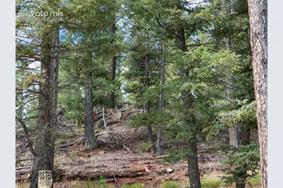 422 Spring Valley Drive, Divide, CO 80814 - Photo 13