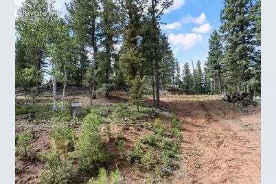 422 Spring Valley Drive, Divide, CO 80814 - Photo 1