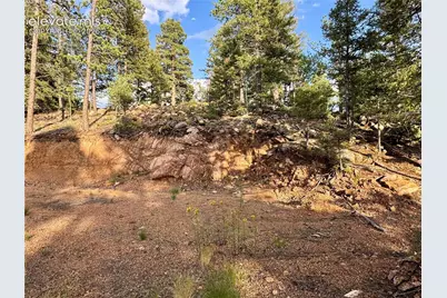 422 Spring Valley Drive, Divide, CO 80814 - Photo 27
