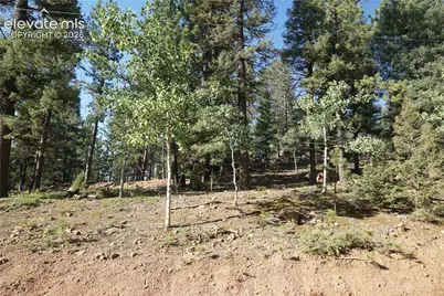 422 Spring Valley Drive, Divide, CO 80814 - Photo 5