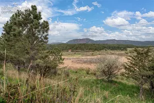367 Raspberry Ln, Monument, CO 80132 - Photo 25