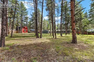 450 County Rd, Woodland Park, CO 80863 - Photo 43