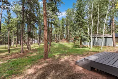 450 County Road, Woodland Park, CO 80863 - Photo 5
