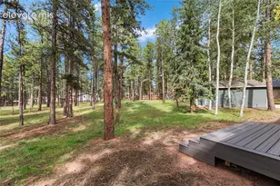 450 County Rd, Woodland Park, CO 80863 - Photo 5