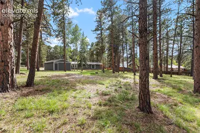 450 County Road, Woodland Park, CO 80863 - Photo 3