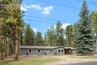 450 County Road, Woodland Park, CO 80863 - Photo 41