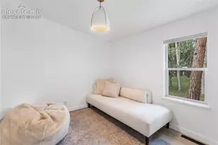 450 County Rd, Woodland Park, CO 80863 - Photo 23