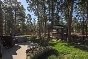 16021 Fox Mesa Ct, Monument, CO 80132 - Photo 31