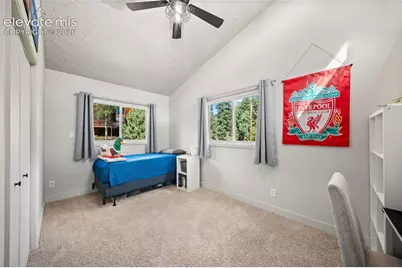 330 W Ridge Drive, Woodland Park, CO 80863 - Photo 19
