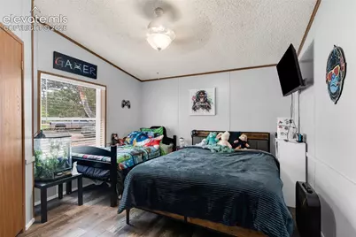 911 Phelps Avenue, Canon City, CO 81212 - Photo 9