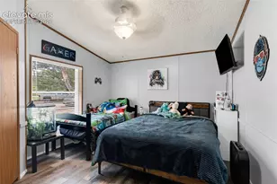 911 Phelps Ave, Canon City, CO 81212 - Photo 9