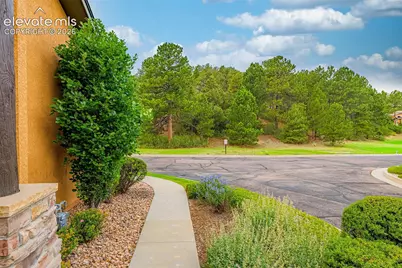 2354 Conservatory Point, Colorado Springs, CO 80918 - Photo 7