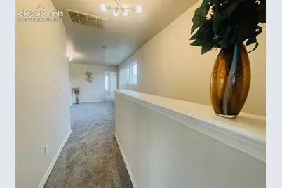 7721 Crestone Peak Trail, Colorado Springs, CO 80924 - Photo 37