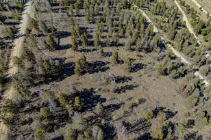 5302 Middle Fork Vista, Fairplay, CO 80440 - Photo 1