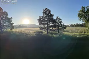 17067 Blue Mist Grove, Monument, CO 80132 - Photo 23