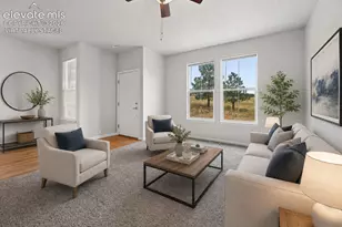 17067 Blue Mist Grove, Monument, CO 80132 - Photo 5