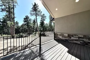 3135 Promise Pt, Colorado Springs, CO 80921 - Photo 21
