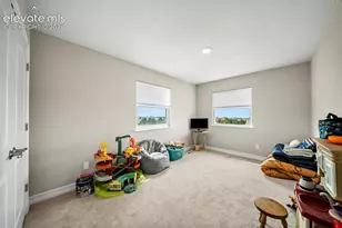 16010 Connies Dr, Peyton, CO 80831 - Photo 23