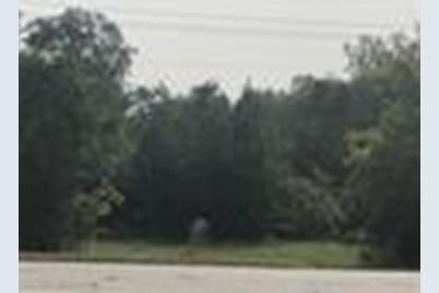 0 Martha Berry Boulevard - Photo 1