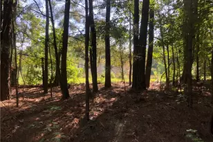 1405 Rock Springs Rd, Buford, GA 30519 - Photo 27