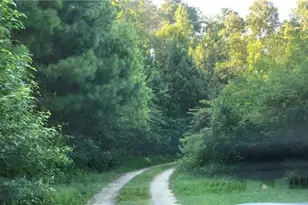 1405 Rock Springs Rd, Buford, GA 30519 - Photo 23