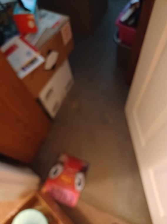 2703 Whites Mill Ct, Decatur GA  30034-1067 exterior