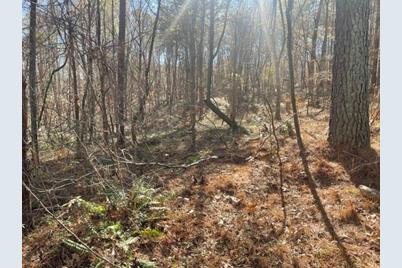 0 Wallace Tatum Road, Cumming, GA 30028 - Photo 7