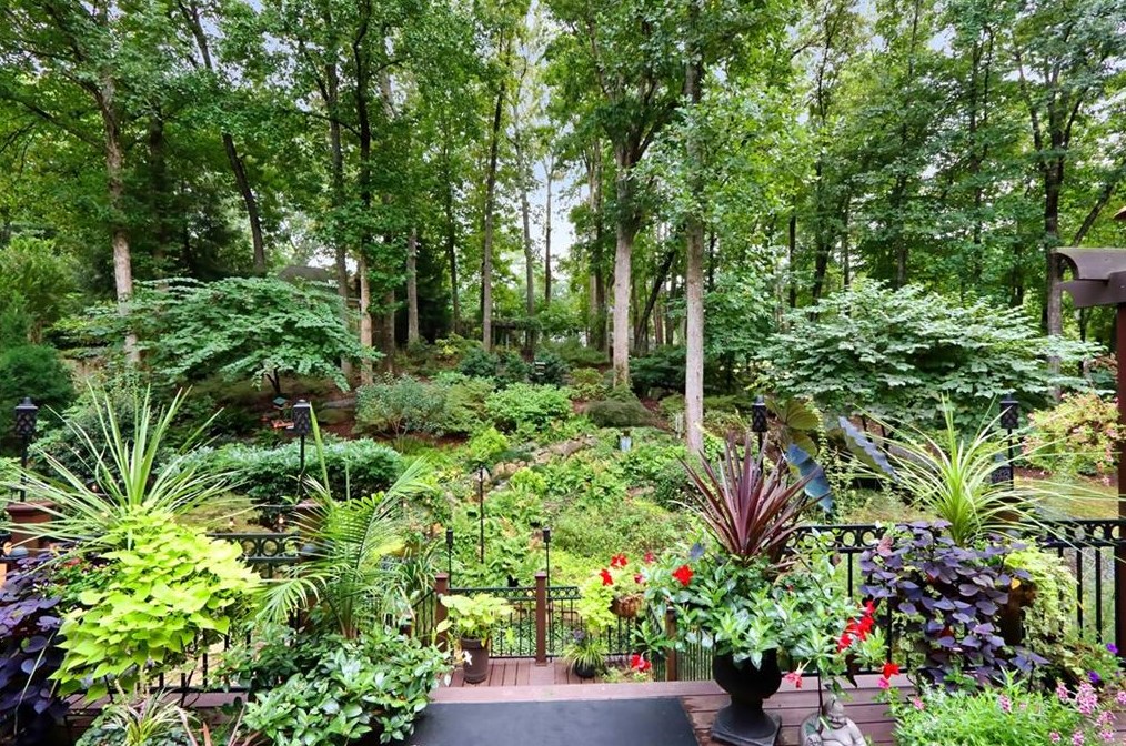 320 Quiet Water Ln, Atlanta GA  30350-3723 exterior