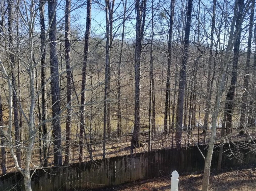 3318 Waldrop Trl, Decatur GA  30034-7425 exterior