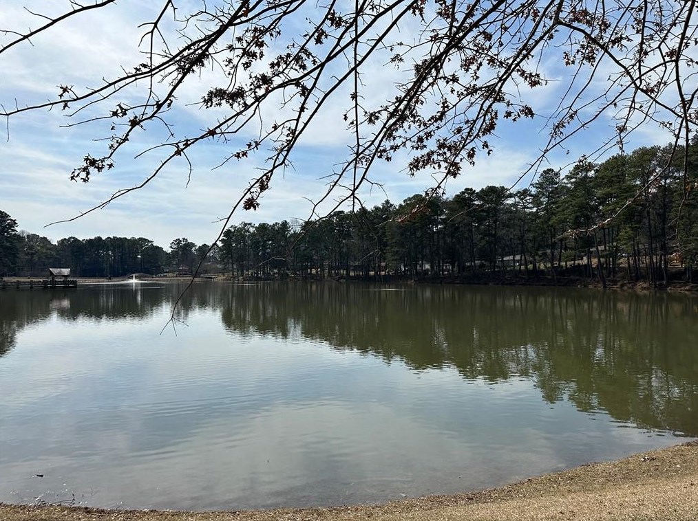 2334 Marion Cir, Decatur GA  30032-4057 exterior