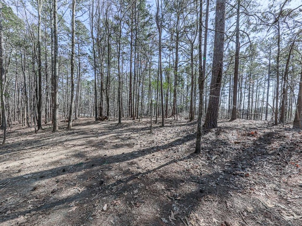 162 Kipling Dr, Dallas GA  30132-8441 exterior