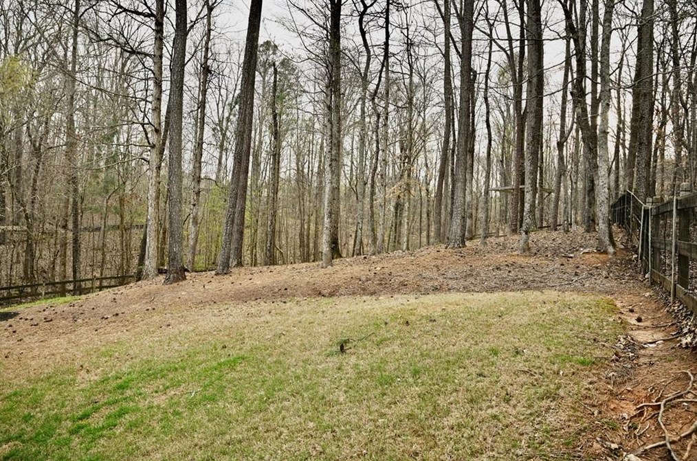 528 Homestead Dr, Dallas GA  30157-4631 exterior