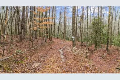 Lot 5 Still Rd, Dahlonega, GA 30533 - Photo 3
