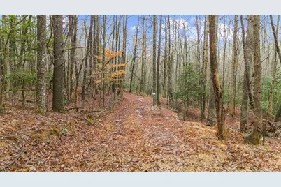 Lot 5 Still Rd, Dahlonega, GA 30533 - Photo 1