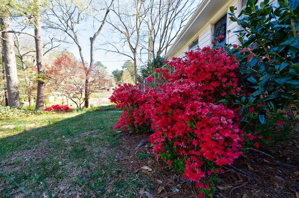 3017 Flamingo Dr, Decatur GA  30033-3936 exterior