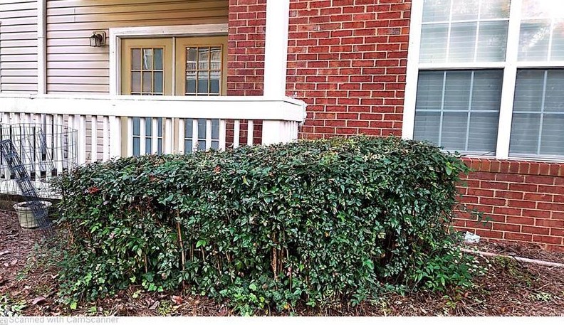 4243 Orchard Grv, Stone Mountain GA  30083-1293 exterior