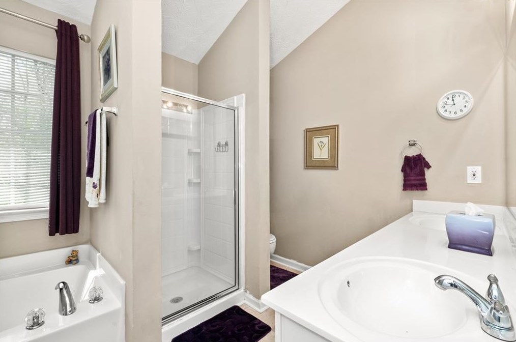 223 Mount Laurel Dr, Dallas GA  30132-0958 exterior