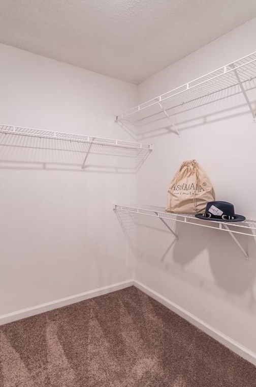 4909 Truitt Ln, Decatur GA  30035-4325 exterior