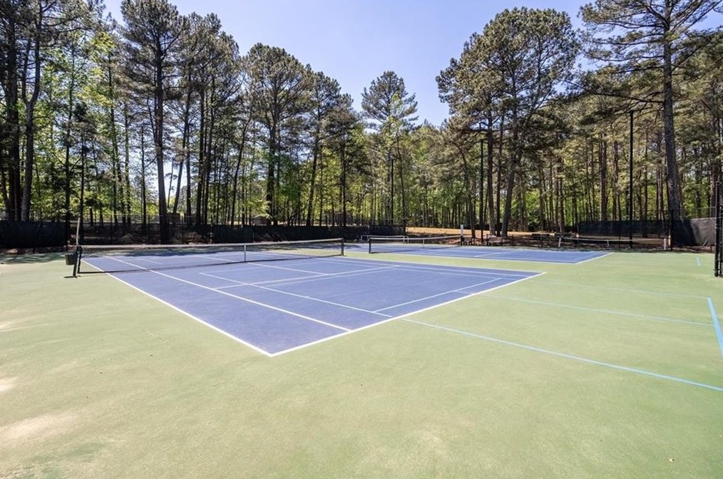 1065 Lake Shore Overlook, Alpharetta GA  30005-6983 exterior