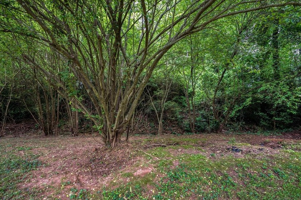 1541 Moncrief Cir, Decatur GA  30033-1616 exterior