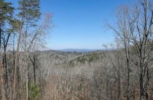 1069 Mayfield Ln, Ranger GA  30734-6742 exterior