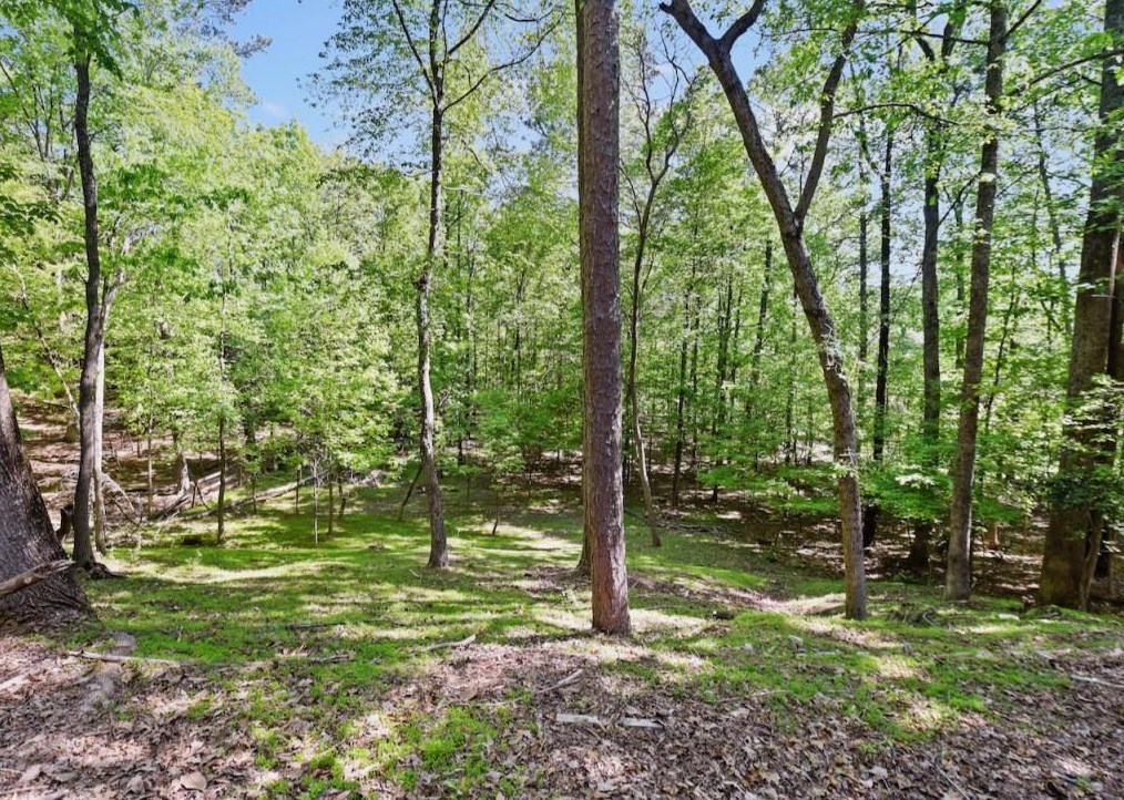5140 Forest Run Trce, Alpharetta GA  30022-4502 exterior